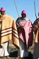 Imagen de Inside Africa