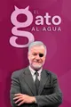 Imagen de El gato al agua